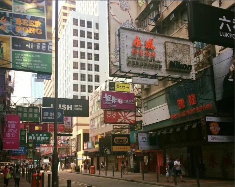 香港身份,香港优才,香港高才